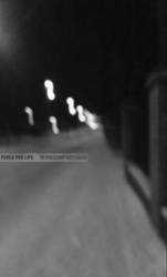 Reminiscent Nostalgia